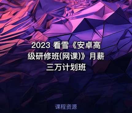2023 看雪《安卓高级研修班(网课)》月薪三万计划班