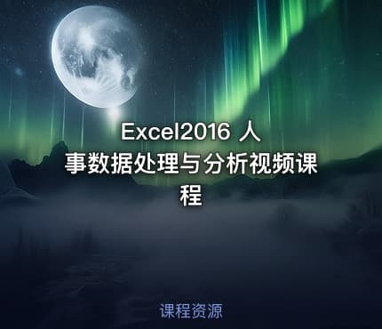 Excel2016 人事数据处理与分析视频课程