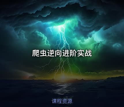 爬虫逆向进阶实战.pdf