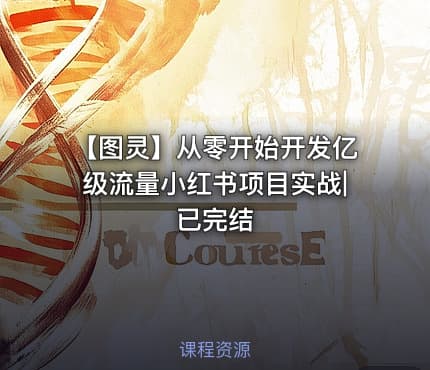 【图灵】从零开始开发亿级流量小红书项目实战|已完结