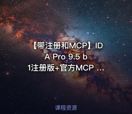 【带注册和MCP】IDA Pro 9.5 b1注册版+官方MCP 雷霆大发布！