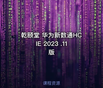 乾颐堂 华为新数通HCIE 2023 .11版