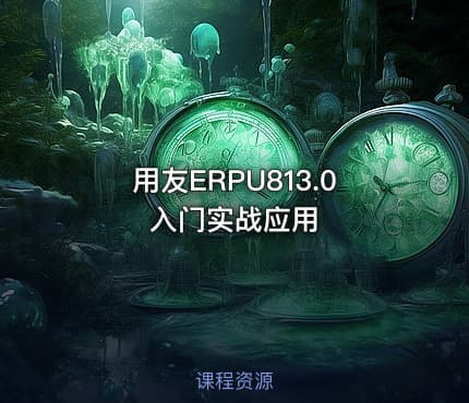 用友ERPU813.0入门实战应用
