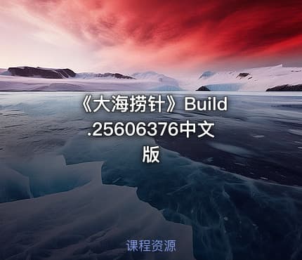 《大海捞针》Build.25606376中文版