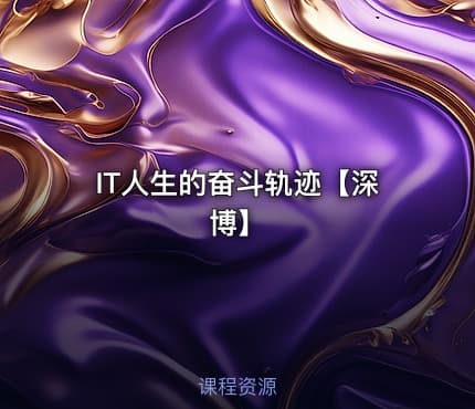 IT人生的奋斗轨迹【深博】