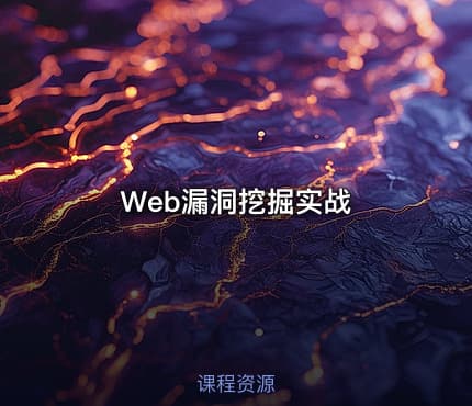 Web漏洞挖掘实战