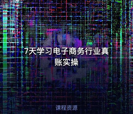 7天学习电子商务行业真账实操