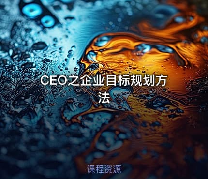 CEO之企业目标规划方法