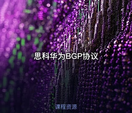 思科华为BGP协议