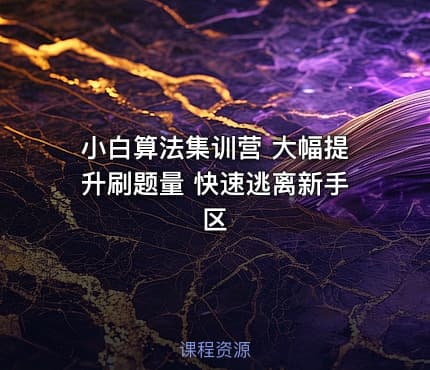 小白算法集训营 大幅提升刷题量 快速逃离新手区