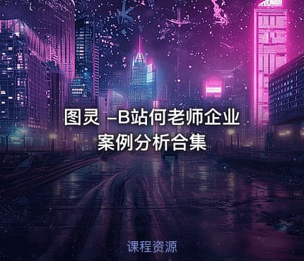 图灵 -B站何老师企业案例分析合集